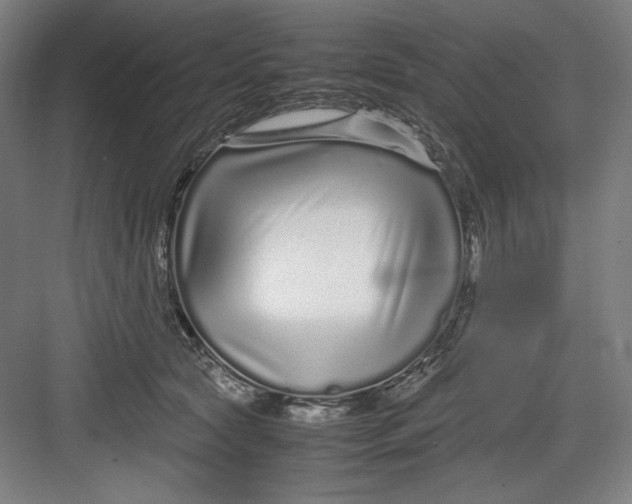 X0000082750561200702162002