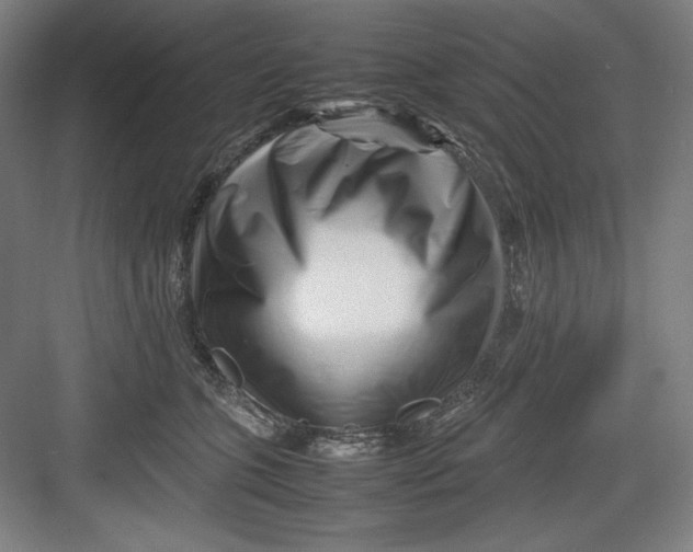 X0000082750563200702162002