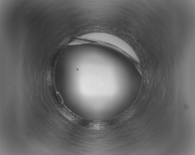 X0000082750564200702162002