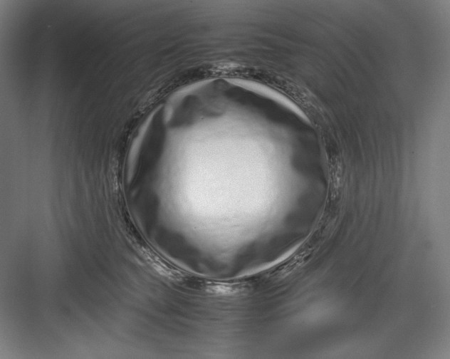 X0000082750565200702162002