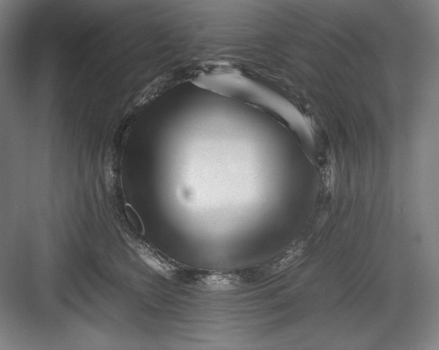 X0000082750566200702162002