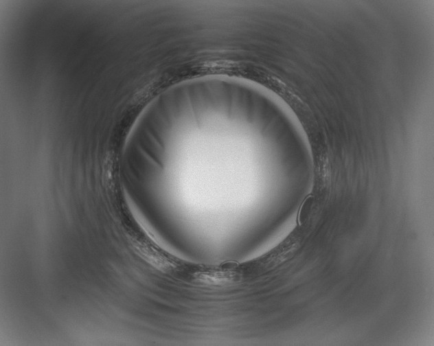 X0000082750567200702162002