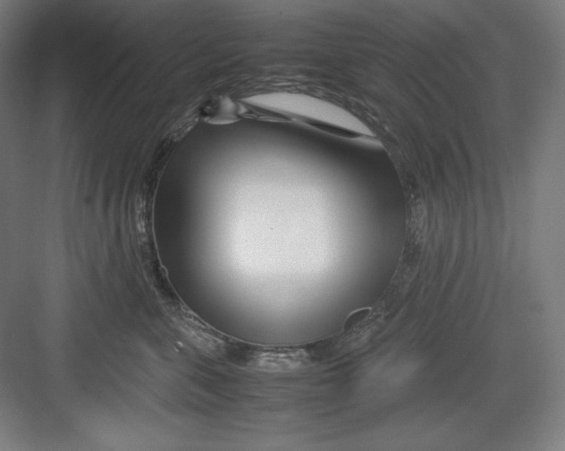 X0000082750571200702162002