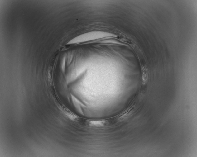 X0000082750573200702162002