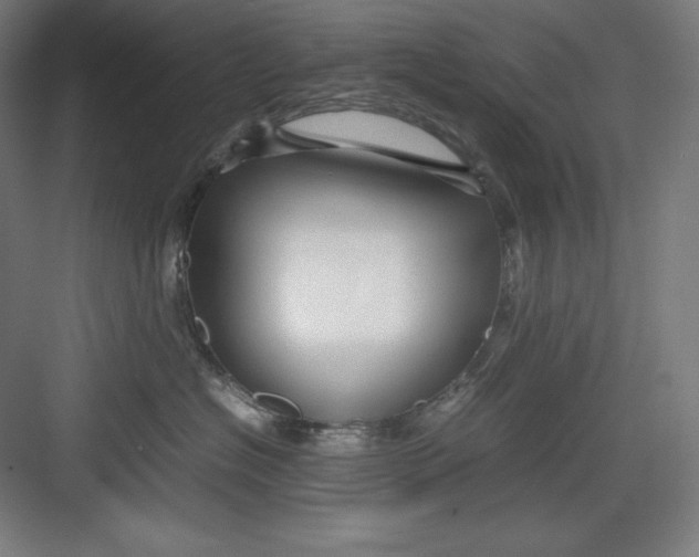 X0000082750574200702162002