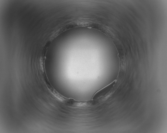 X0000082750575200702162003