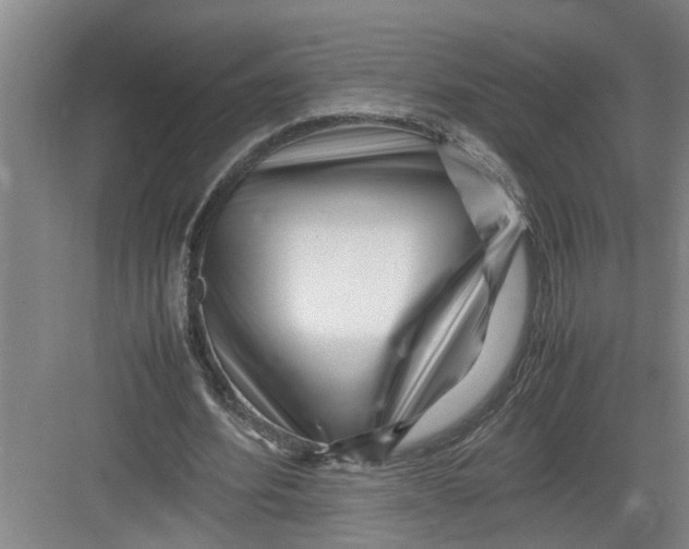 X0000082750580200702162002