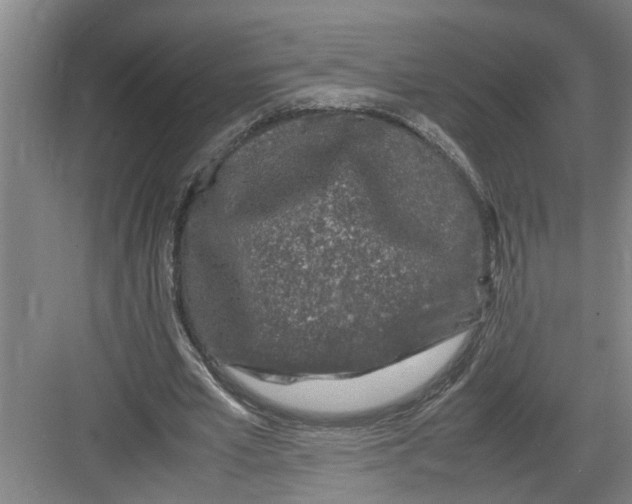 X0000082750581200702162002