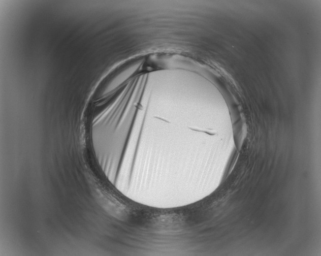 X0000082750584200702162002
