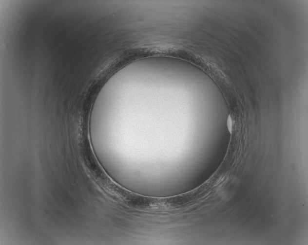 X0000082750591200702162001