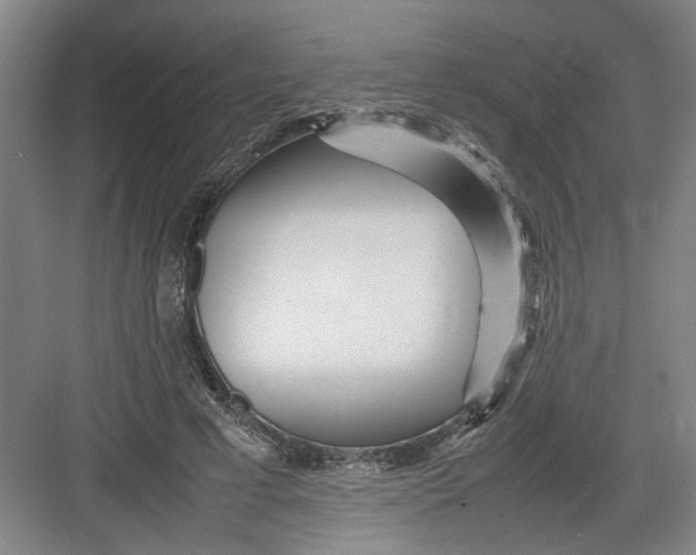 X0000082750593200702162001
