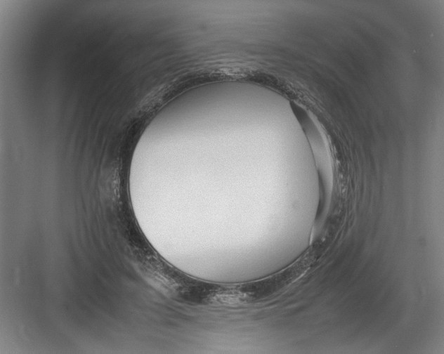X0000082750595200702162001