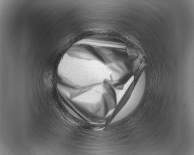 X0000082750596200702162001