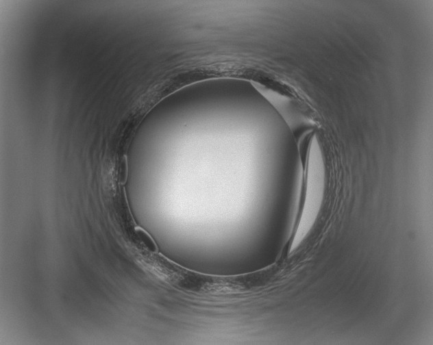 X0000082750597200702162001