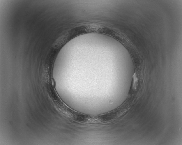 X0000082750599200702162001