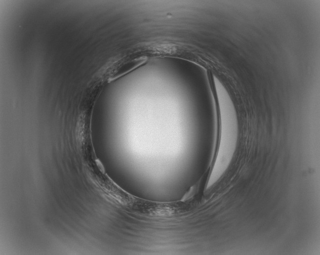 X0000082750600200702162001