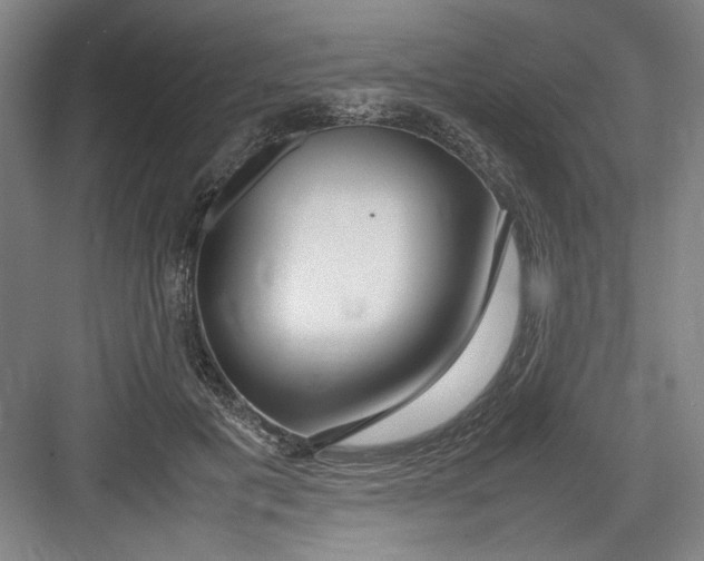 X0000082750601200702162001