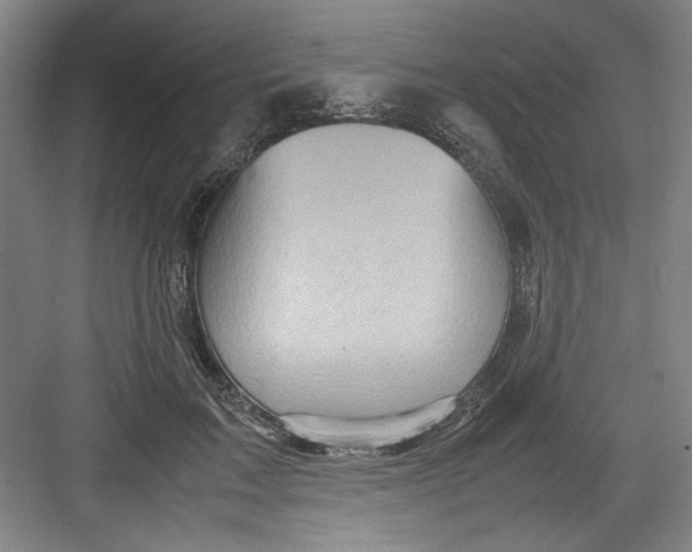 X0000082750603200702162001