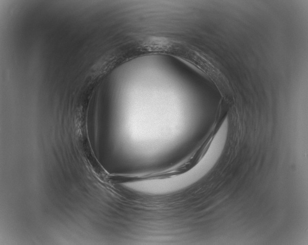 X0000082750604200702162001