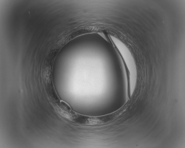 X0000082750605200702162001