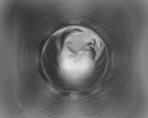X0000082750608200702162001
