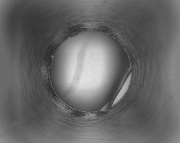X0000082750609200702162001