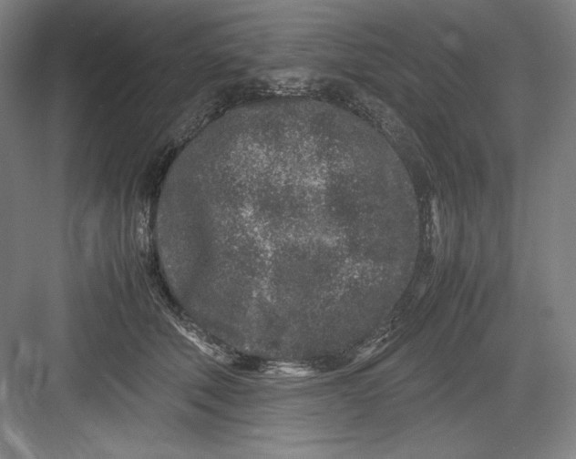 X0000082750610200702162001