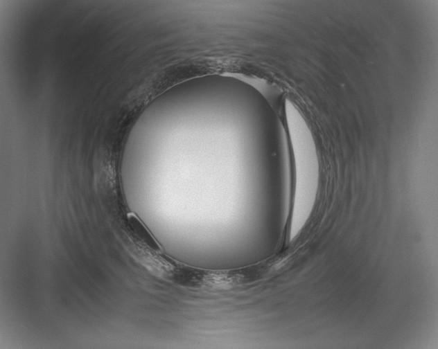 X0000082750613200702162001