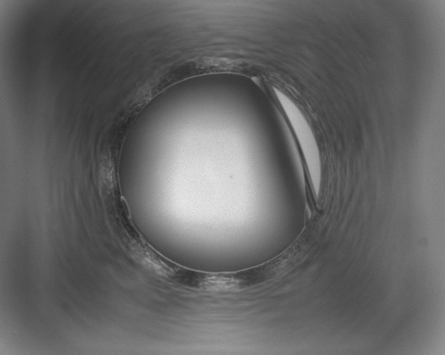 X0000082750617200702162001