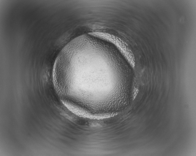 X0000082750618200702162001