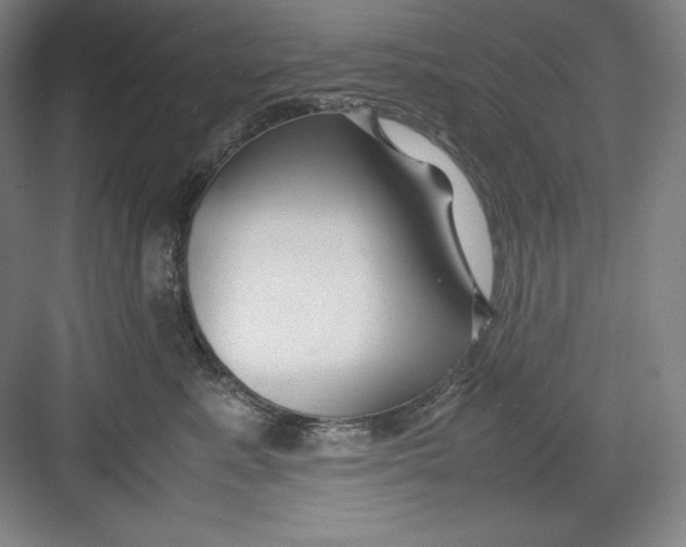 X0000082750619200702162001