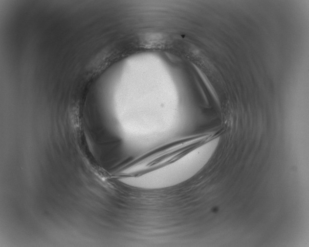 X0000082750620200702162001