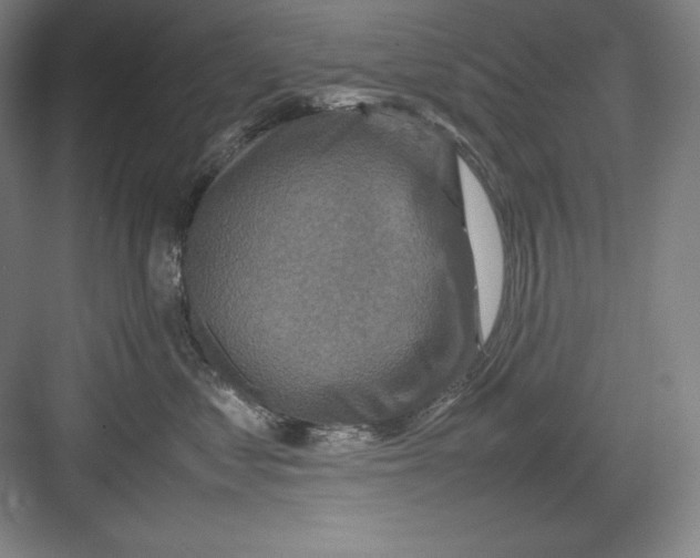 X0000082750621200702162001