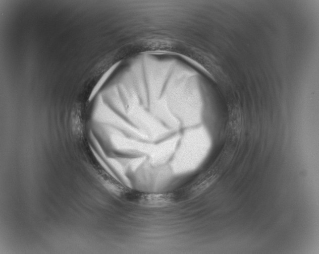 X0000082750622200702162001