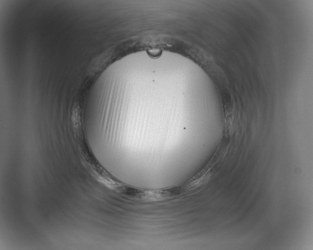 X0000082750623200702162001