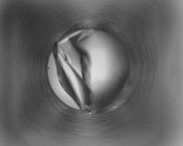 X0000082750624200702162001