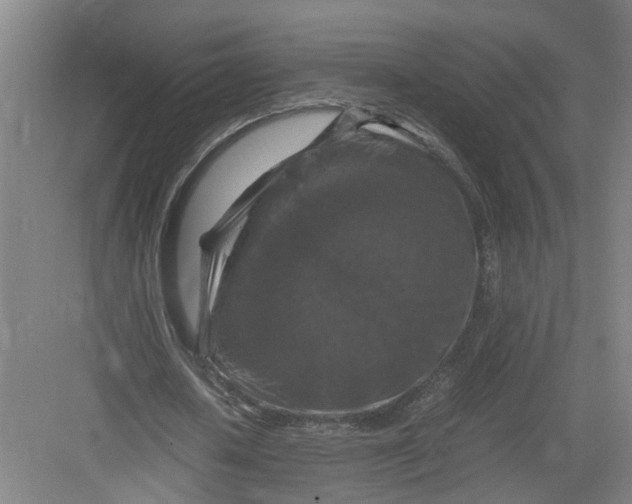 X0000082750626200702162000