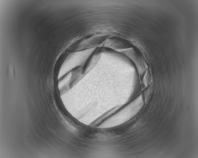 X0000082750630200702162000
