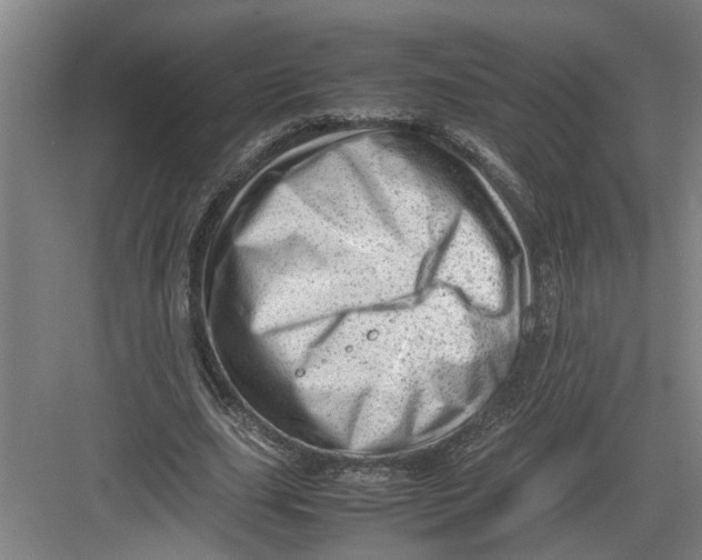 X0000082750631200702162000