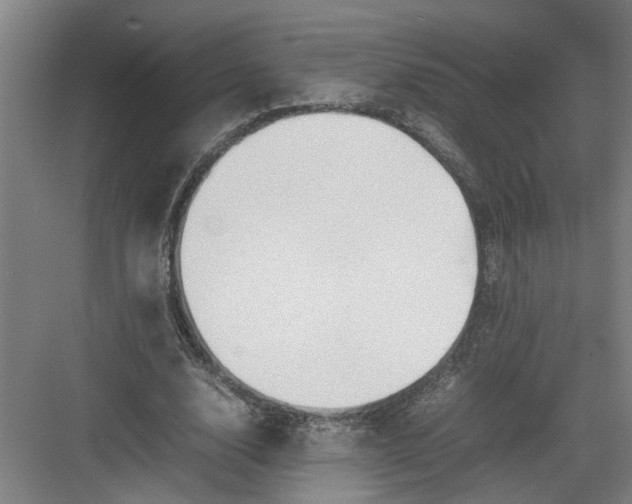 X0000082750632200702162000