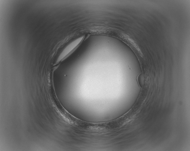 X0000082750633200702162000
