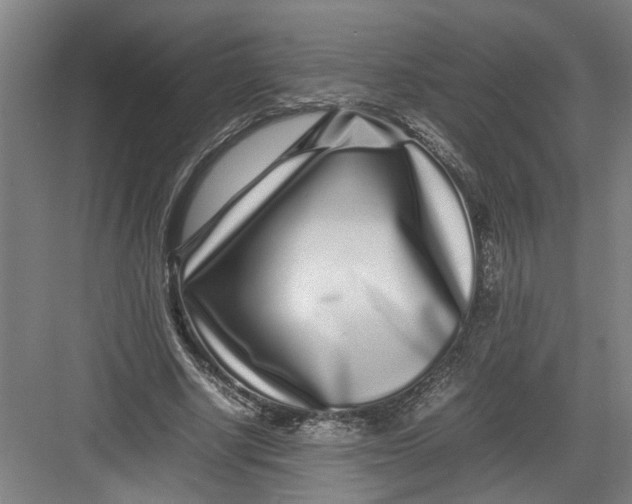 X0000082750634200702162000