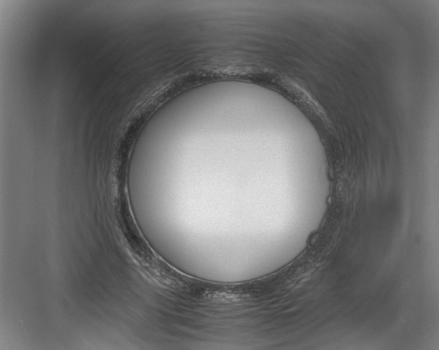 X0000082750635200702162000