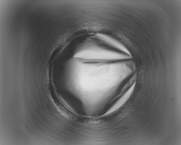 X0000082750638200702162000