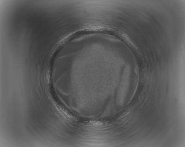 X0000082750640200702162000