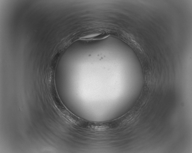 X0000082750645200702162000