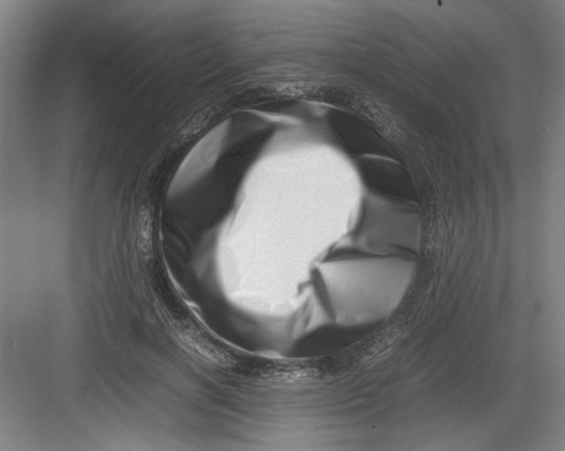 X0000082750646200702162000