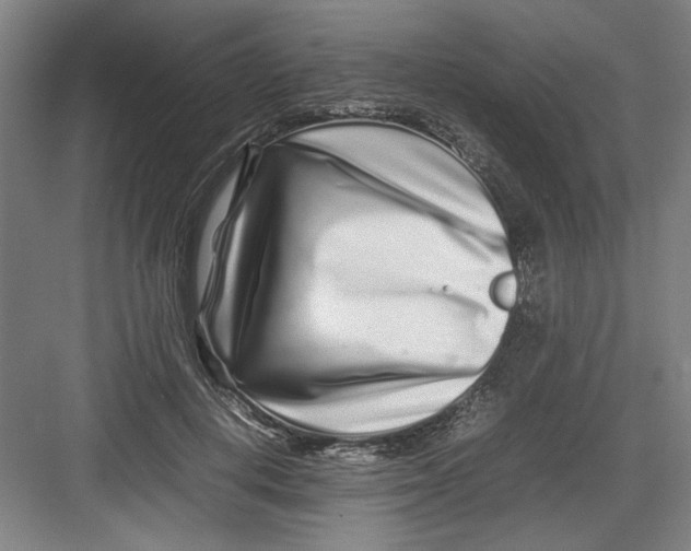 X0000082750648200702162000
