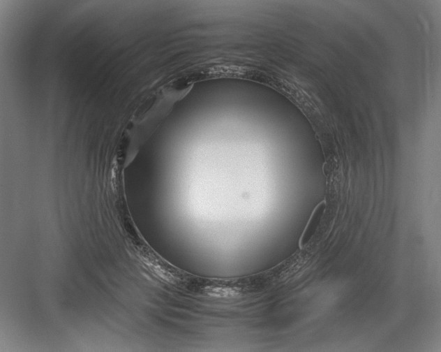 X0000082750649200702162001