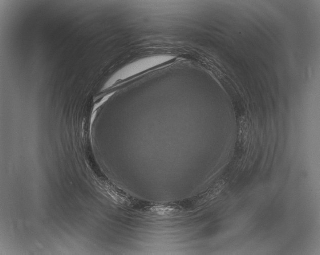X0000082750650200702162001